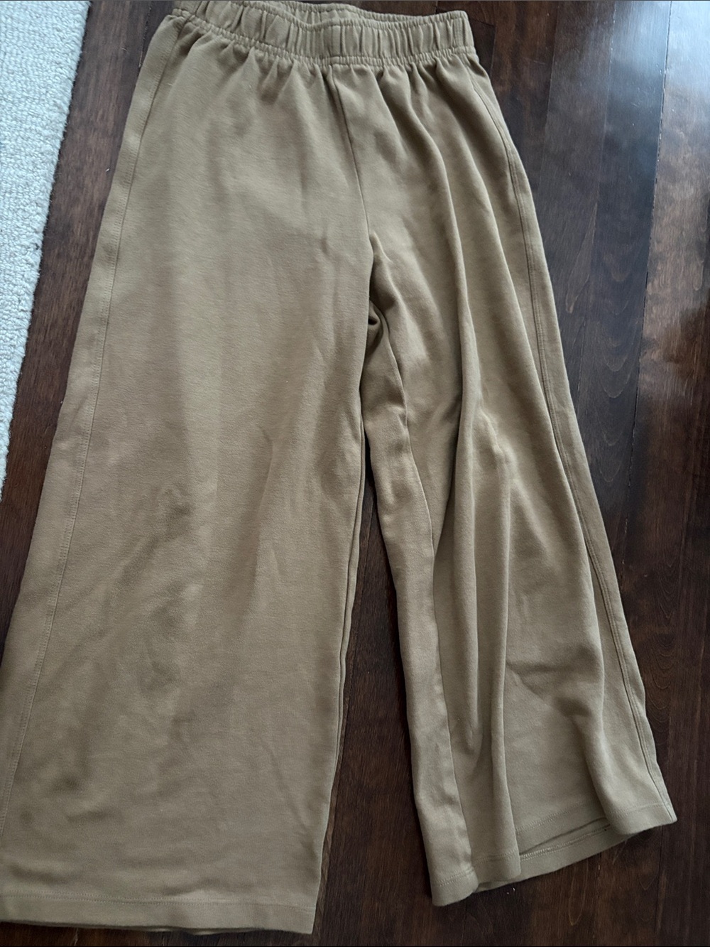 Zara Wide Leg Elastic Waist Tan Pants